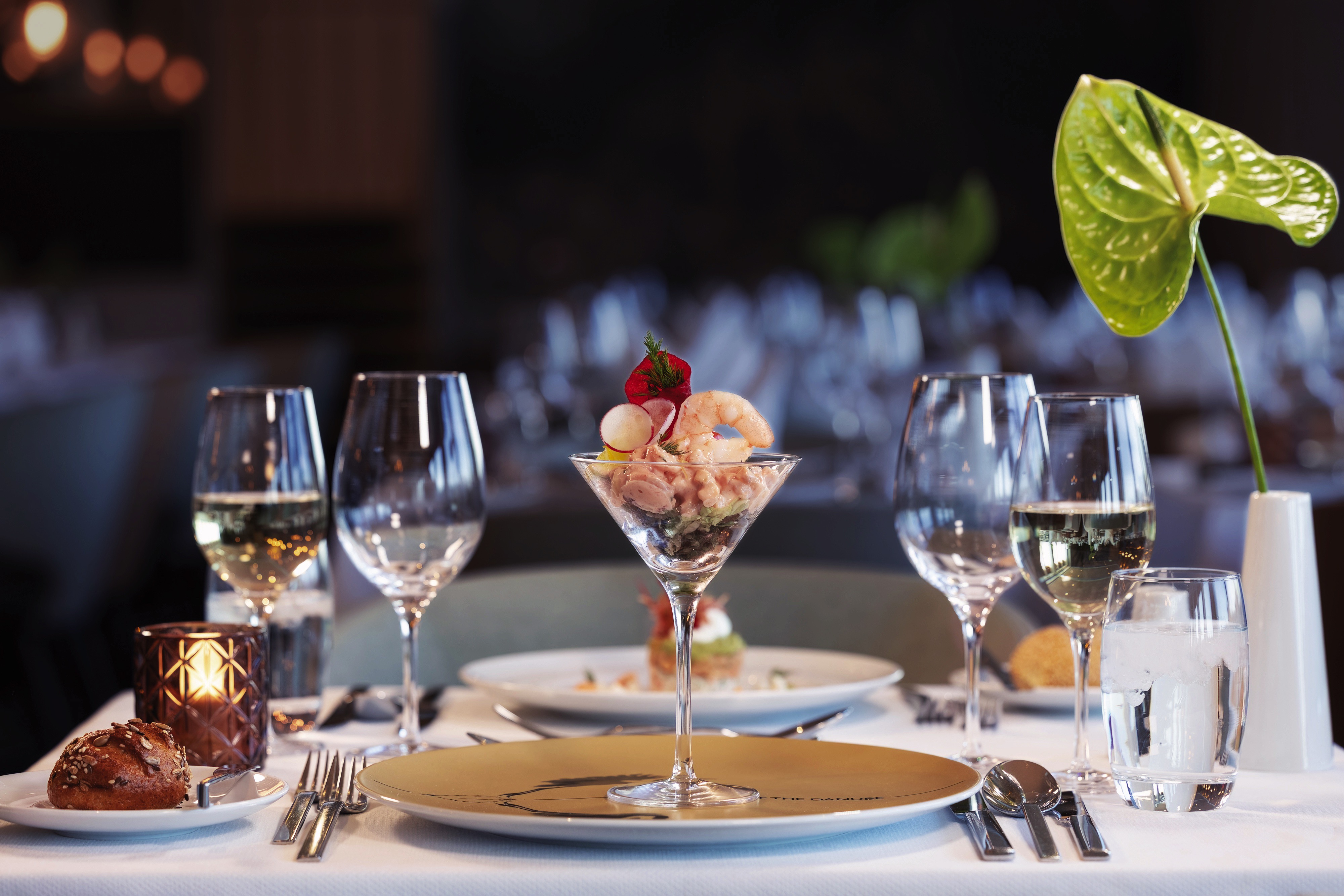 Spirit of the Danube - Panorama Restaurant